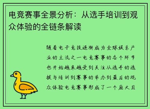 电竞赛事全景分析:从选手培训到观众体验的全链条解读 电竞赛事全景分析:从选手培训到观众体验的全链条解读